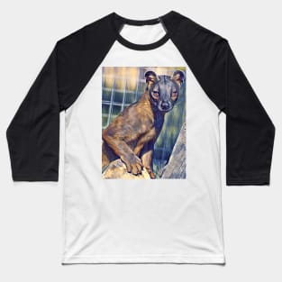 Fossa Baseball T-Shirt